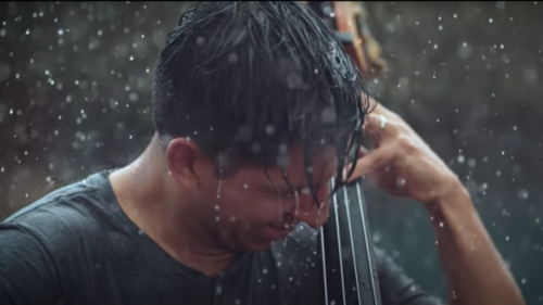 cello player in the rain